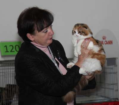 �������� ����� '������� ���-�����' 30 ������-1 ������� 2013., ������������ ��� 3127